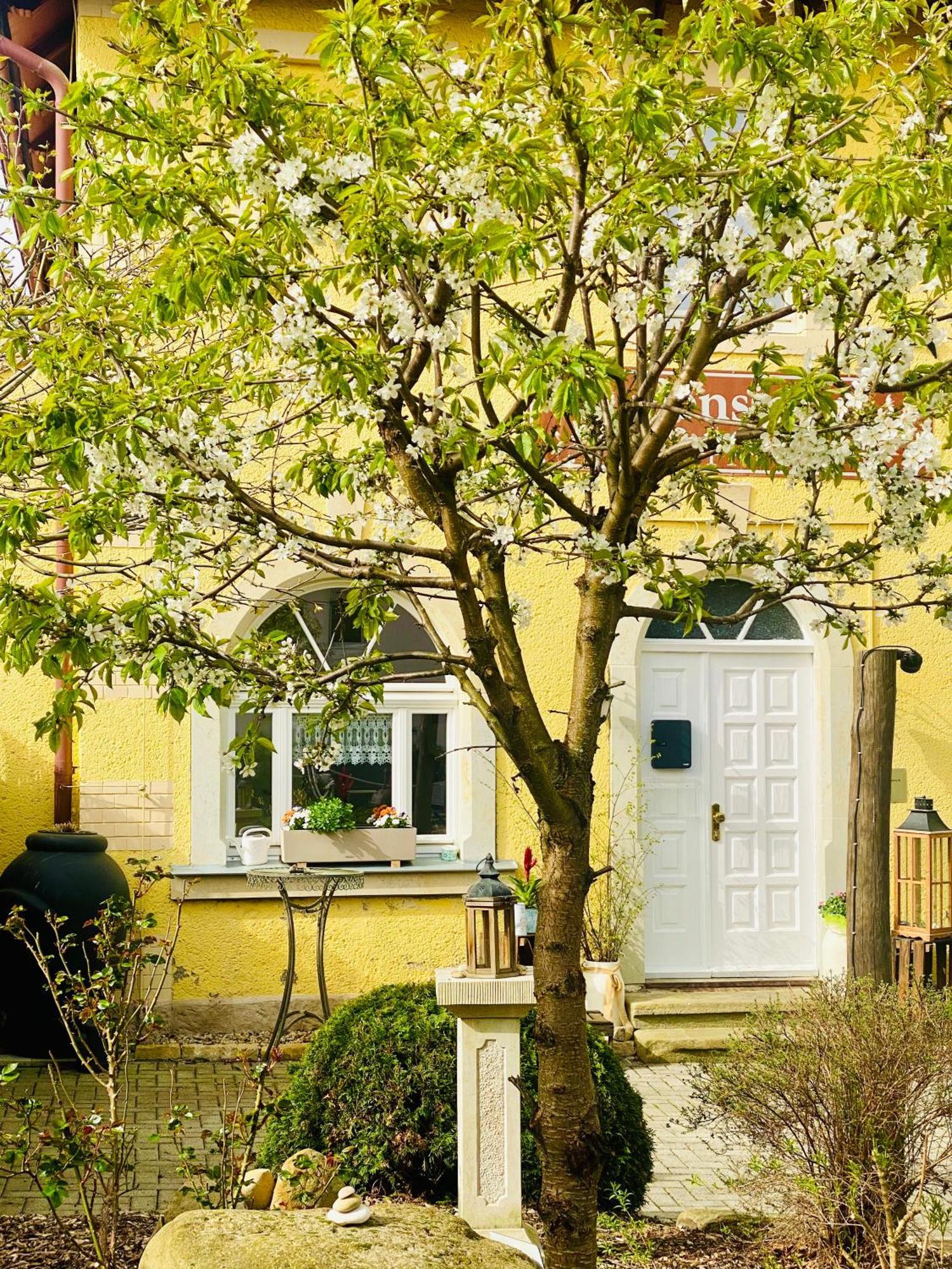Restaurant Und Pension Zur Puppenstube Штольпен Экстерьер фото